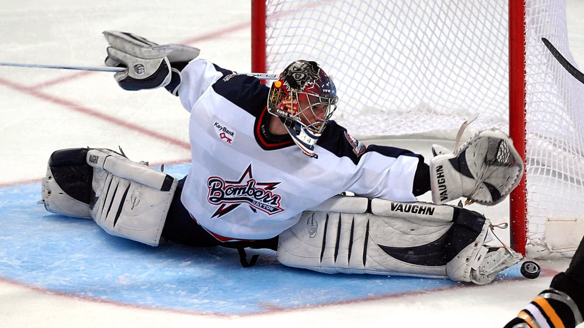 中国跳水队包揽世界杯金牌 新生代选手表现亮眼