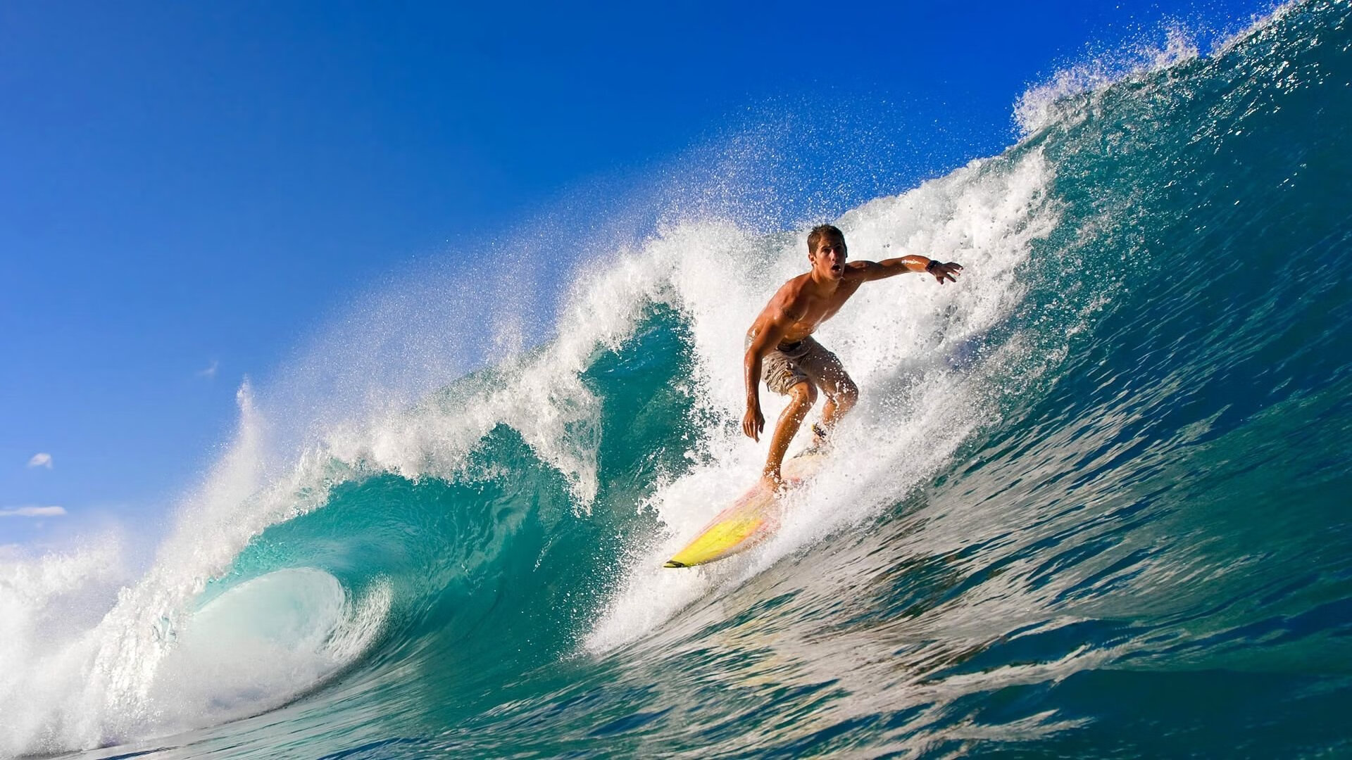 中国短道速滑队世锦赛再创佳绩 混合接力夺金展现团队实力